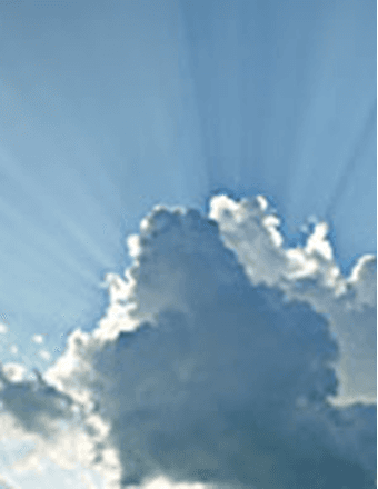 William  Terry Webb Obituary