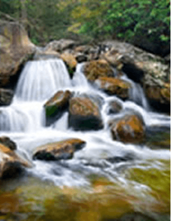 Betty Bramlett Obituary