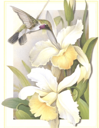 Sheila (Baker) Reaves Obituary